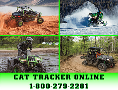 Cat tracker online hotsell